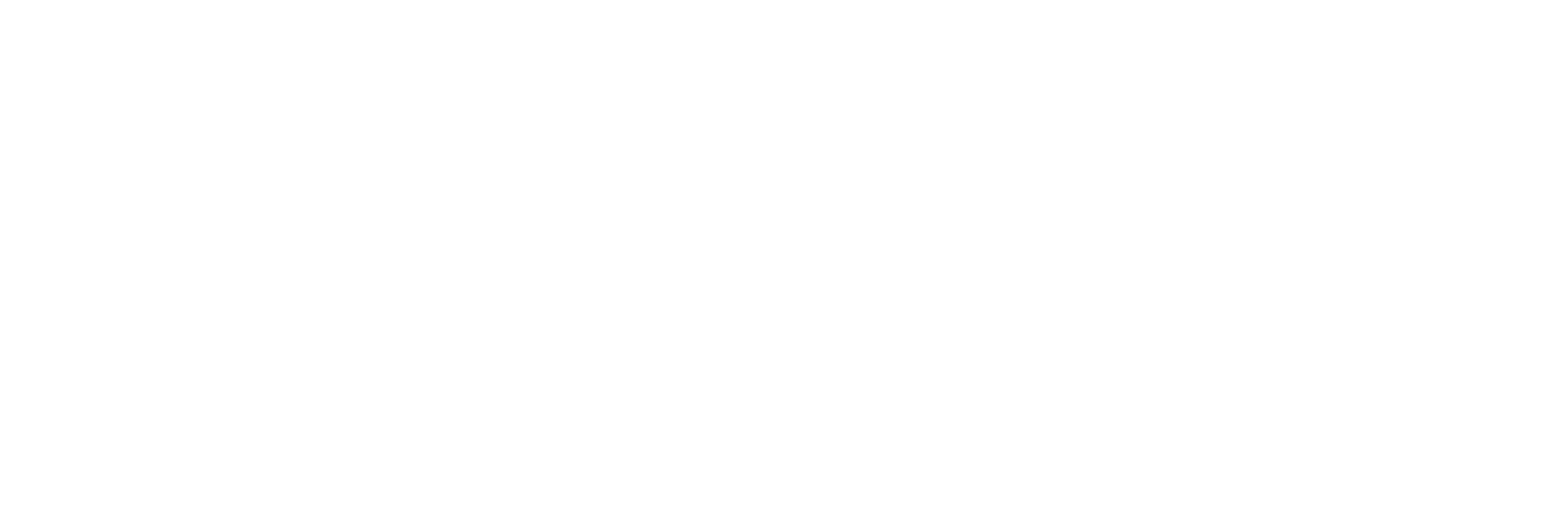 Logo Plug-In